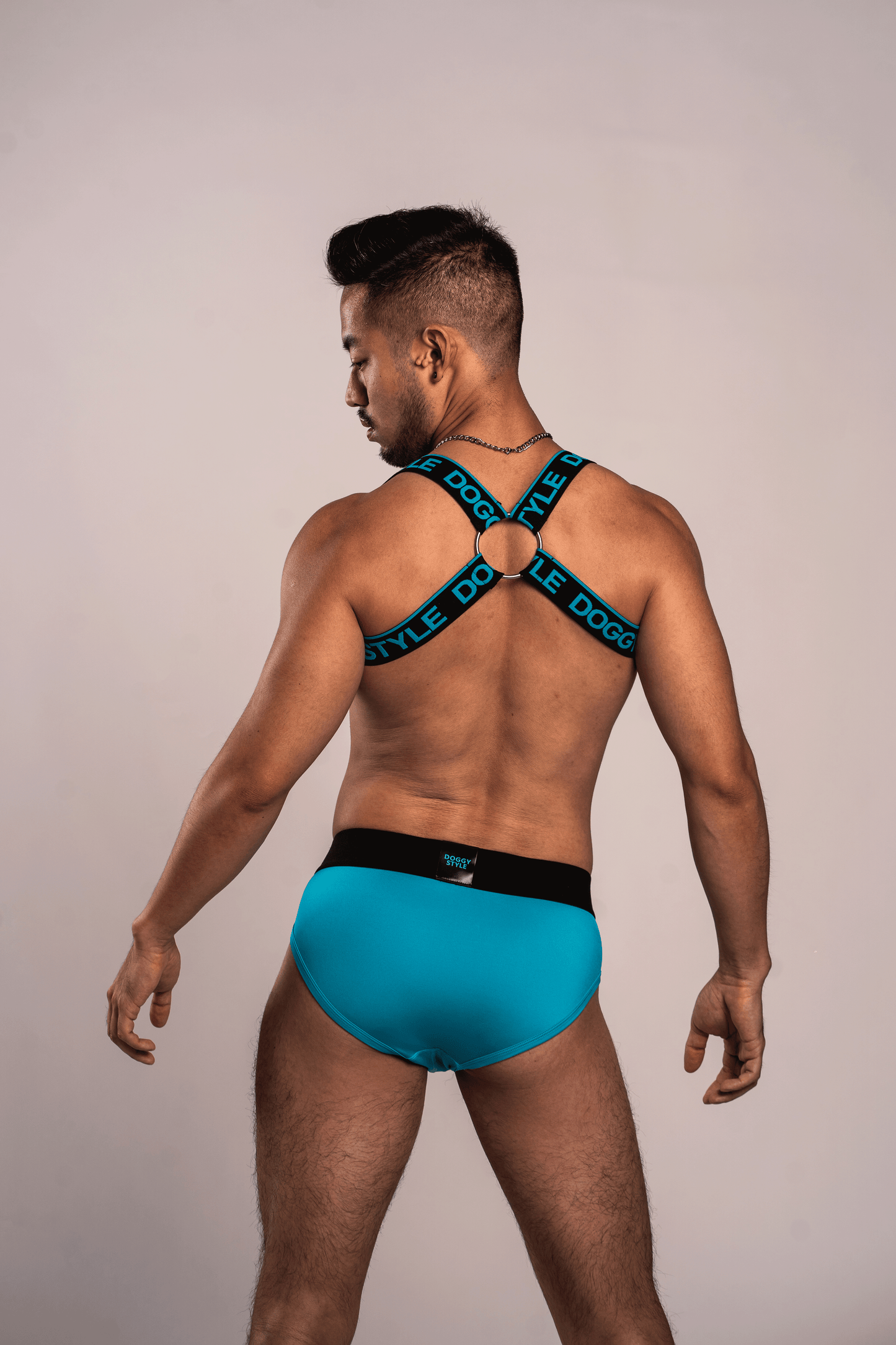 Electric Blue Logo Harness