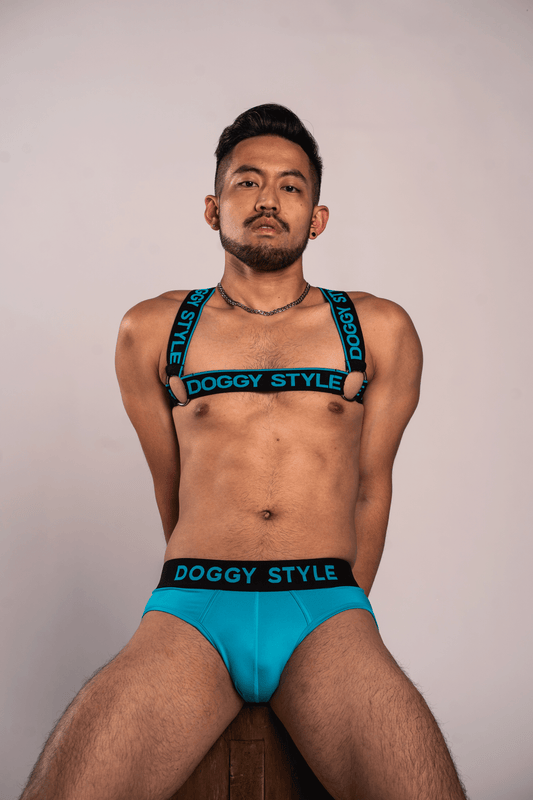 Electric Blue Logo Harness