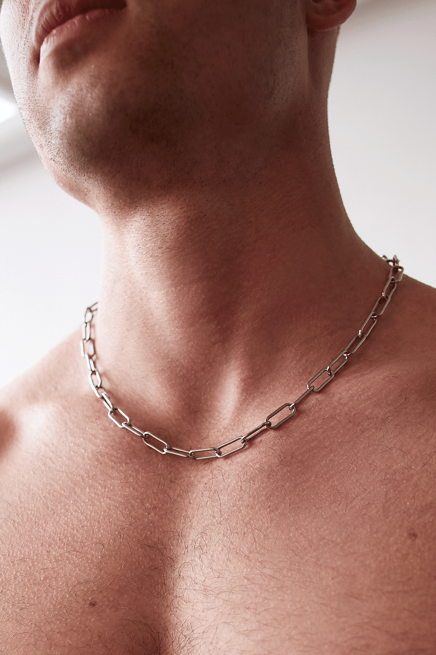 Chain Link Necklace