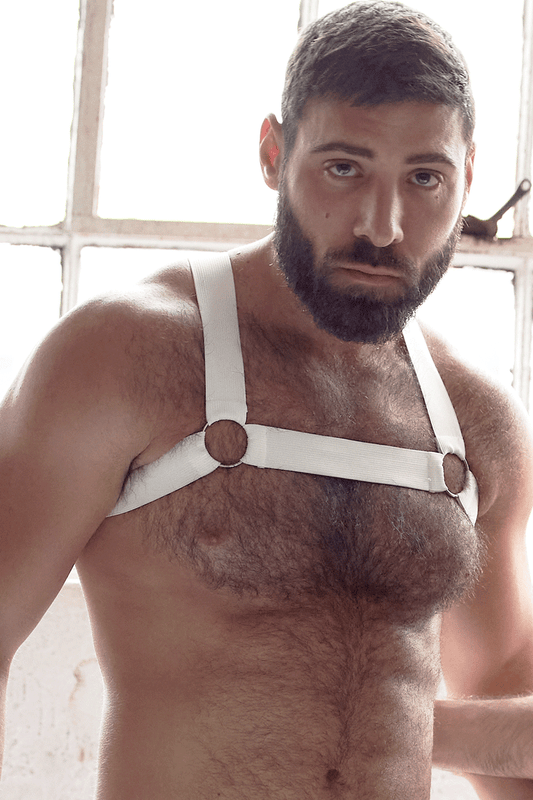 White Harness